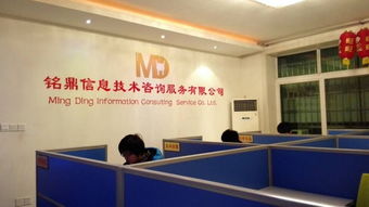 資陽(yáng)銘鼎信息技術(shù)咨詢(xún)服務(wù) 賦能企業(yè)數(shù)字化轉(zhuǎn)型的專(zhuān)業(yè)伙伴