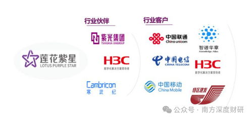 從調(diào)味品到AI新勢(shì)力 蓮花控股業(yè)績(jī)領(lǐng)跑同行，科技版圖再落信息技術(shù)咨詢(xún)服務(wù)關(guān)鍵一子